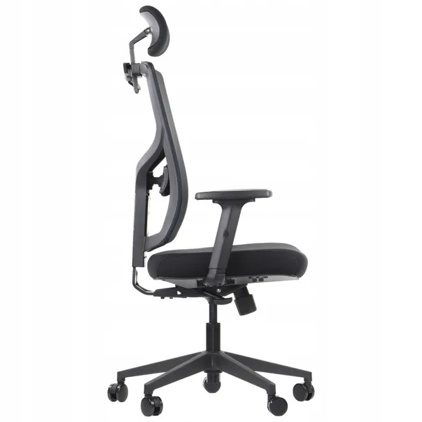 curtiz-czarny-marka-stema