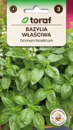 bazylia-wlasciwa-nasiona-1-g