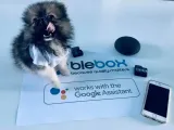 sterownik-blebox-wifi-komunikacja-wifi