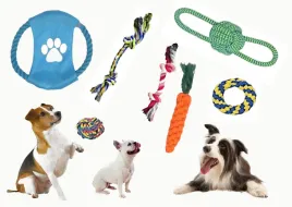 zabawka-do-szarpania-dla-malego-psa-zestaw-7-akcesoriow-do-zabawy