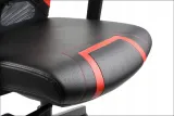 ryder-extreme-mechanizm-samowazacy-funkcje-dodatkowe-regulacja-podlokietnikow