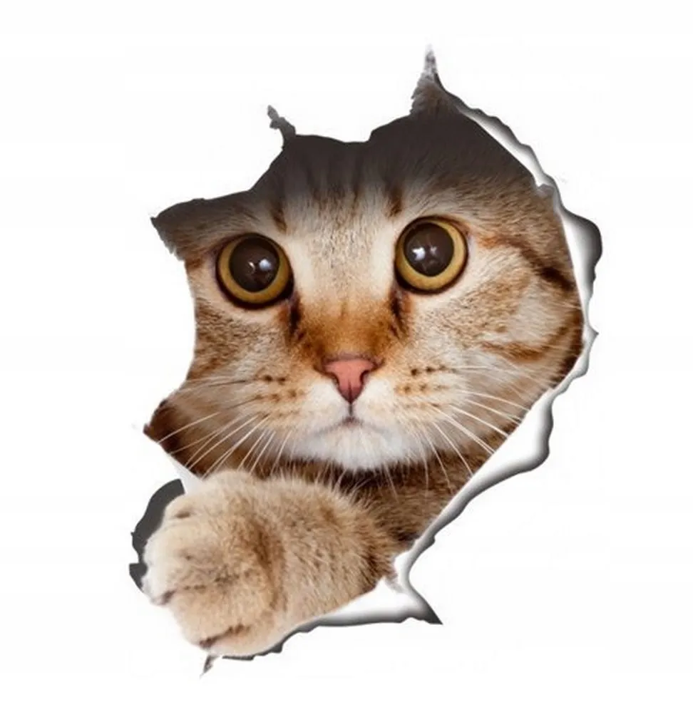 naklejka-kot-3d-stan-nowy