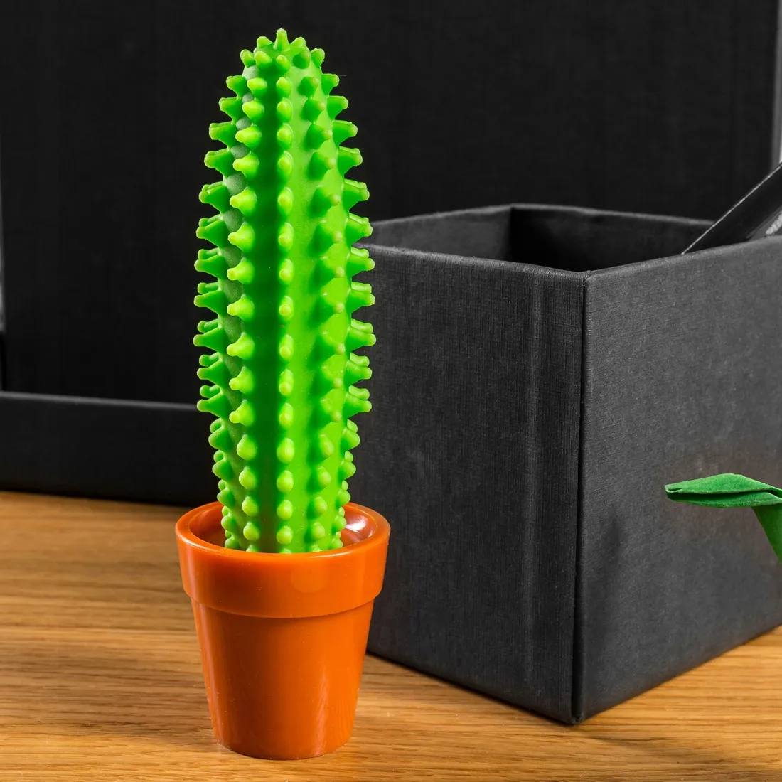 klujacy-dlugopis-kaktus-stan-nowy