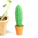 klujacy-dlugopis-kaktus-stan-nowy-okazja-upominek-uniwersalny