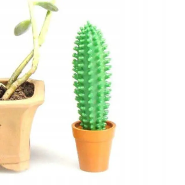 klujacy-dlugopis-kaktus