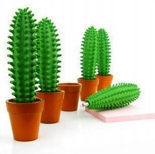 klujacy-dlugopis-kaktus-stan-nowy