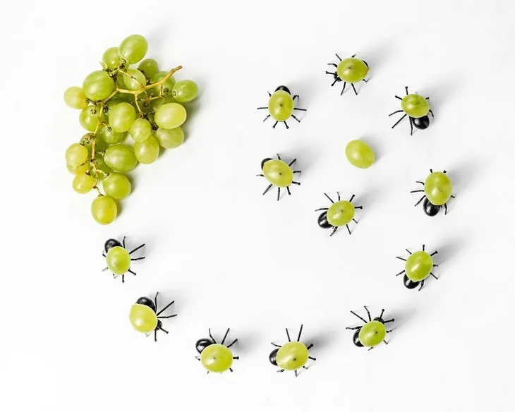 imprezowe-mrowki-na-przekaski-kod-producenta-5903181049620