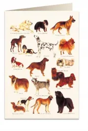 karnet-b6-koperta-8948-psy-2