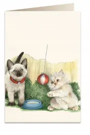 karnet-b6-koperta-7525-biale-kotki