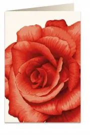 karnet-b6-koperta-5676-czerwona-roza