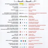 plan-zgorzelec-gorlitz-1-11-000-plan-typ-publikacji-plan-miasta