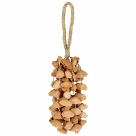 shaker-terre-seed-xxl-cha-cha-nut
