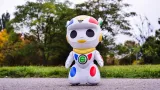 emiglio-interaktywny-robot-40-cm-stan-nowy-certyfikaty-opinie-atesty-ce