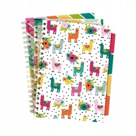 paczka-kolozeszyt-pukka-pad-b5-project-book-colour-wash-3-szt-mix