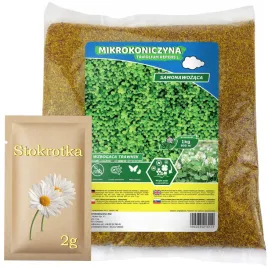 mikrokoniczyna-drobnolistna-koniczyna-05kg-stokrotka-lakowa-biala-2g