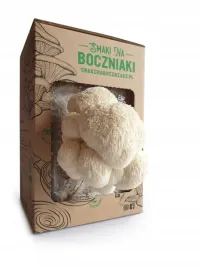 zestaw-do-uprawy-grzybow-snb-soplowka-jezowata