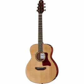 gitara-akustyczna-harley-benton-custom-clgs-10s-travel