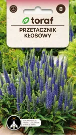 przetacznik-klosowy-nasiona-01-g