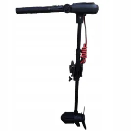 silnik-elektryczny-haswing-protruar-65-lb-600-w