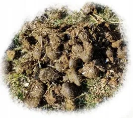 obornik-konski-ekologiczny-nawoz-naturalny-polski-kompostowany