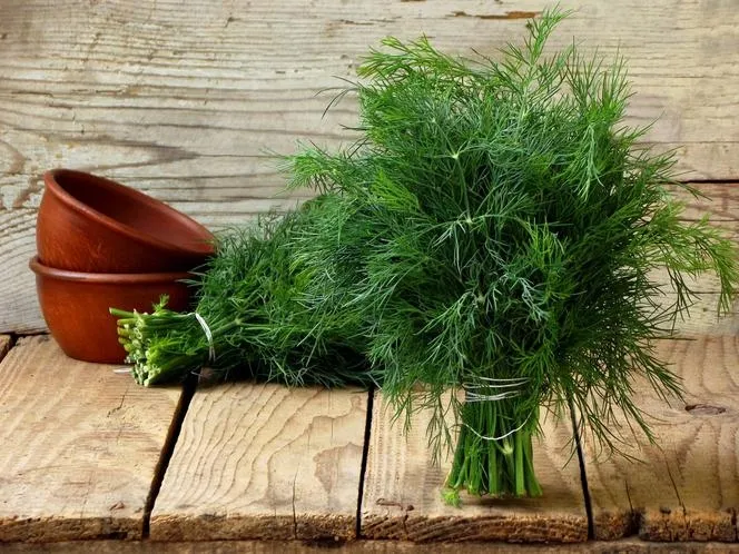 profi-pasztet-z-koperkiem-131-g-kod-producenta-5901696000044