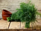 profi-pasztet-z-koperkiem-131-g-kod-producenta-5901696000044