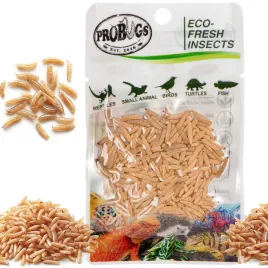 swieze-larwy-muchy-dla-gadow-plazow-ssakow-probugs-eco-fresh-riceworm-15g