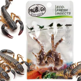 swieze-skorpiony-dla-warana-agamy-legwana-probugs-ecofresh-scorpion-3szt
