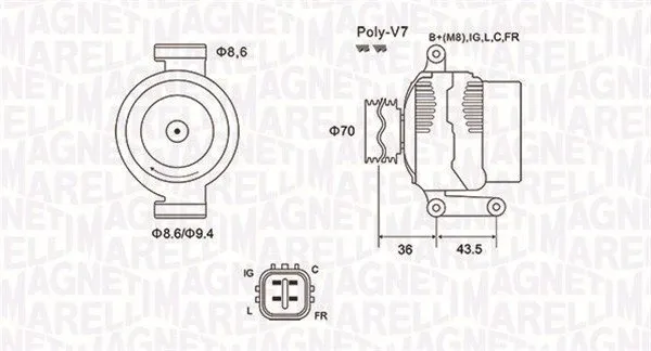 alternator-063731980010-magneti