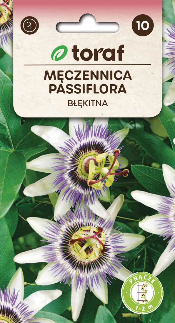 meczennica-passiflora-nasiona-02-g