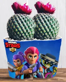 doniczka-do-kwiatow-brawl-stars-producent