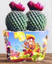 doniczka-do-kwiatow-brawl-stars-producent