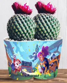 doniczka-do-kwiatow-brawl-stars-producent