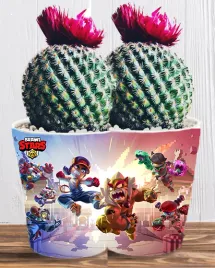 doniczka-do-kwiatow-brawl-stars-producent
