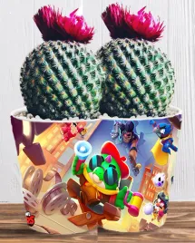 doniczka-do-kwiatow-brawl-stars-producent