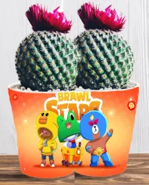 doniczka-do-kwiatow-brawl-stars-producent