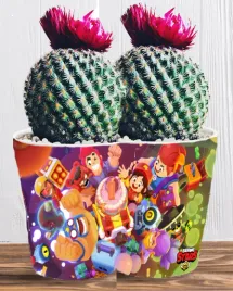 doniczka-do-kwiatow-brawl-stars-producent