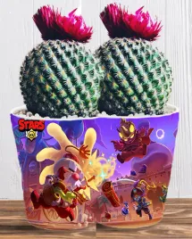doniczka-do-kwiatow-brawl-stars-producent