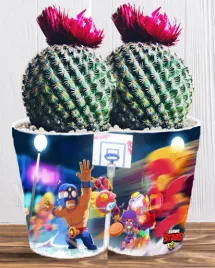 doniczka-do-kwiatow-brawl-stars-producent