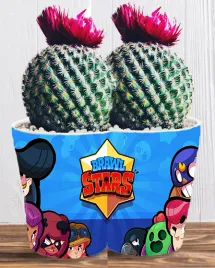 doniczka-do-kwiatow-brawl-stars-producent
