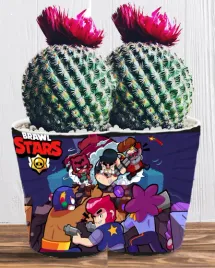 doniczka-do-kwiatow-brawl-stars-producent