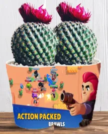 doniczka-do-kwiatow-brawl-stars-producent