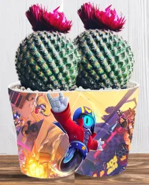 doniczka-do-kwiatow-brawl-stars-producent