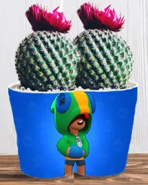doniczka-do-kwiatow-brawl-stars-producent