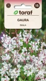 gaura-biala-nasiona-05-g