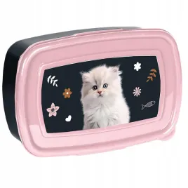 sniadaniowka-paso-kotek