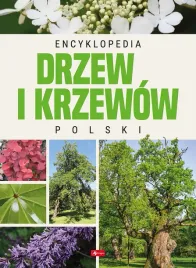 encyklopedia-drzew-i-krzewow-polski