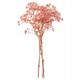 gipsowka-4-galazki-ok-20cm-light-pink