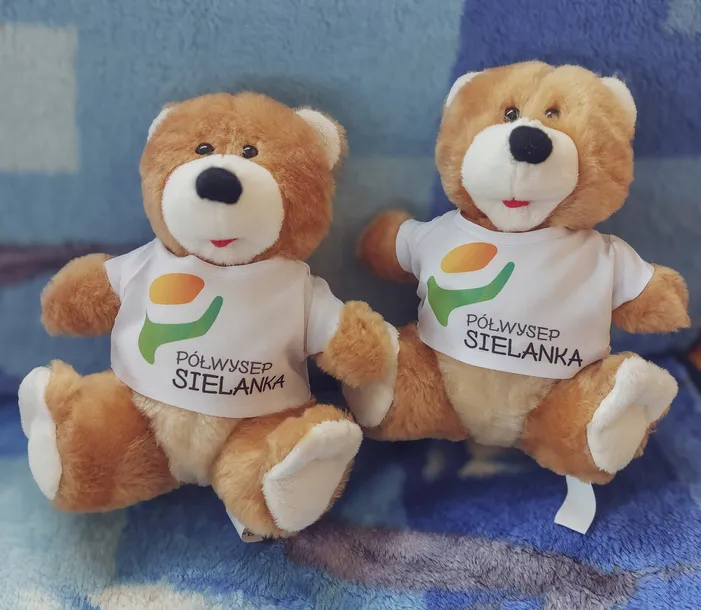 mis-w-koszulce-spandex-25cm-marka-daffi