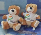 mis-w-koszulce-spandex-25cm-marka-daffi